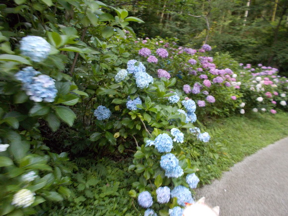 e0121548_2084589.jpg