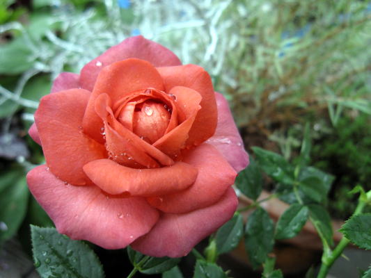 c0147952_213319.jpg