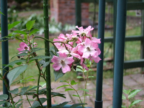 e0088260_21214024.jpg