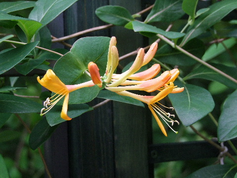 e0088260_2193117.jpg