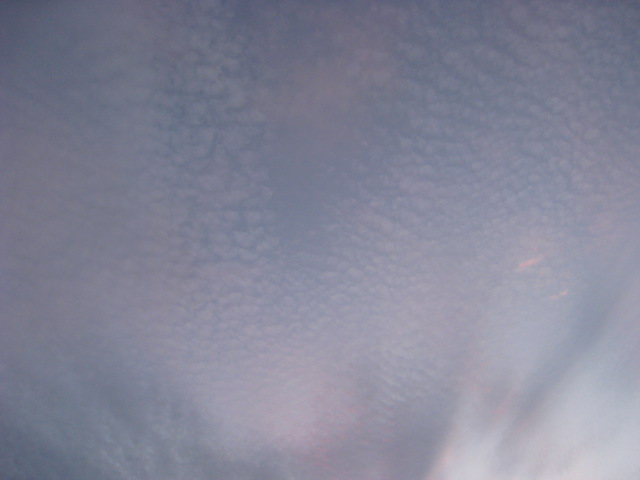 d0168669_19241569.jpg