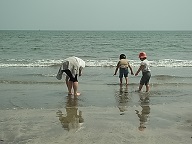 b0185771_1753395.jpg