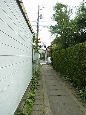 b0185771_237173.jpg