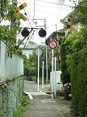 b0185771_2372939.jpg