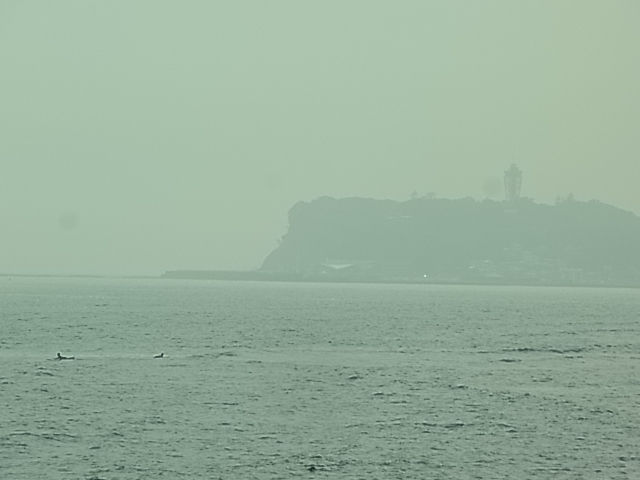 b0185771_2392156.jpg