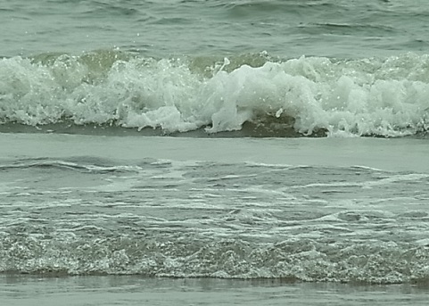 b0185771_239348.jpg