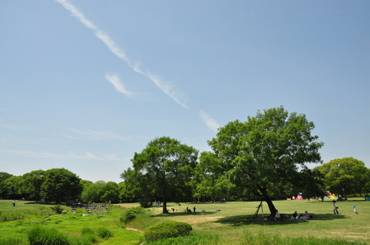 f0029271_9403694.jpg