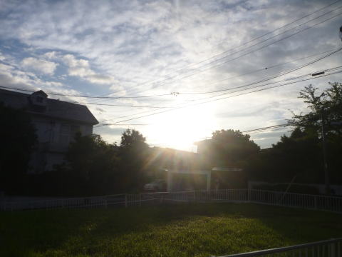 e0161972_7471579.jpg