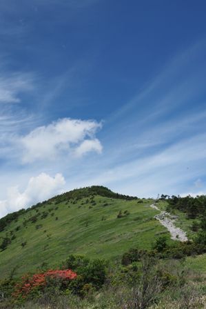 e0307372_2256185.jpg