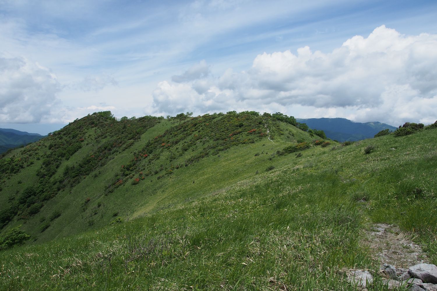 e0307372_2305262.jpg