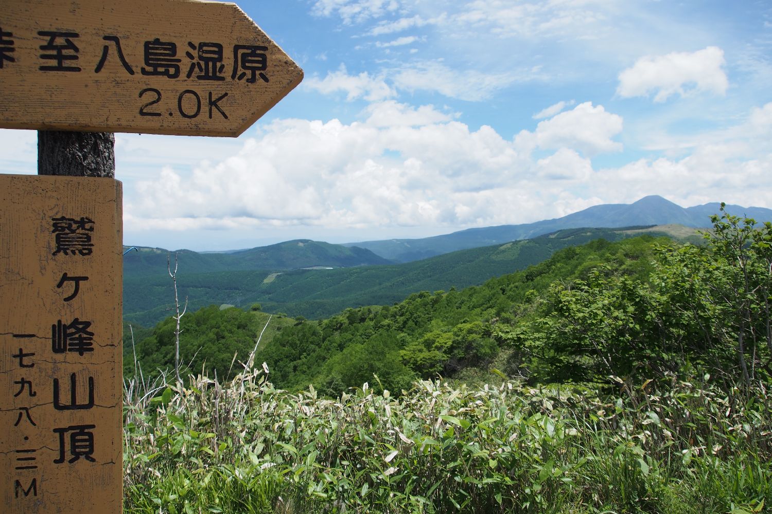 e0307372_231166.jpg