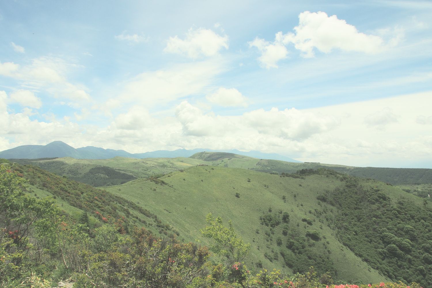 e0307372_2321369.jpg