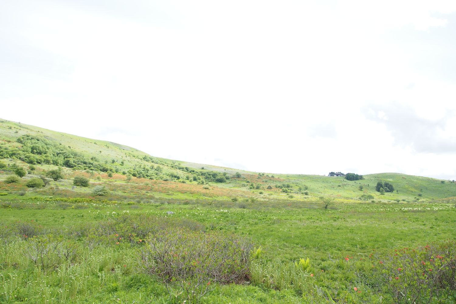 e0307372_2344434.jpg