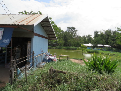 a0002177_15423575.jpg