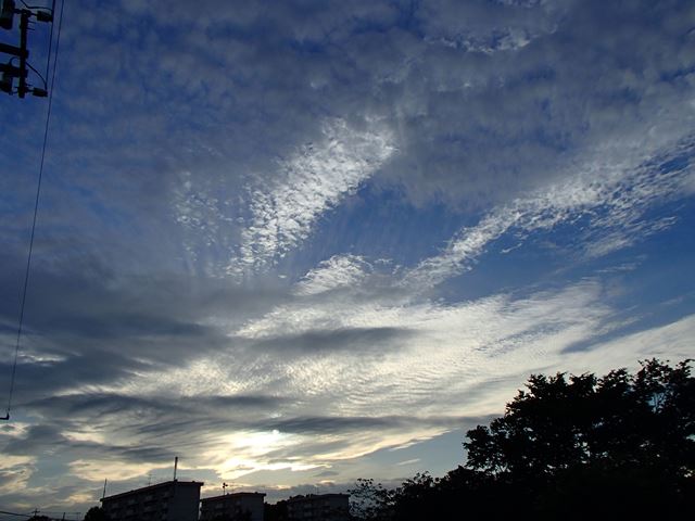 d0143678_23301929.jpg