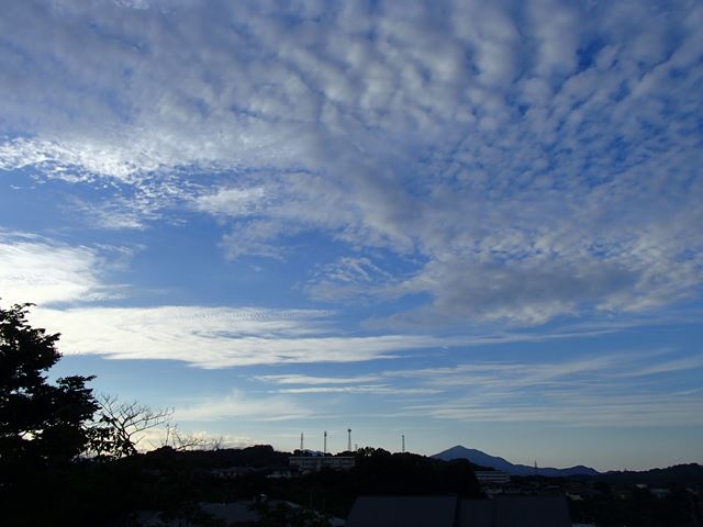 d0143678_2330655.jpg