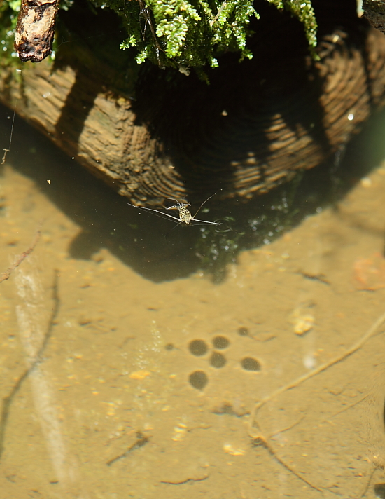 e0249878_23133058.jpg
