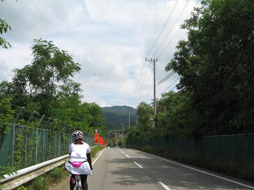 a0251786_16571686.jpg