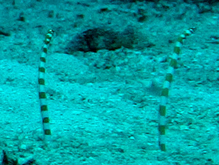 e0105088_1827293.jpg