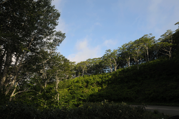 e0248688_18482924.gif
