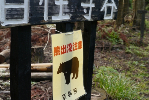 b0226089_19331411.jpg