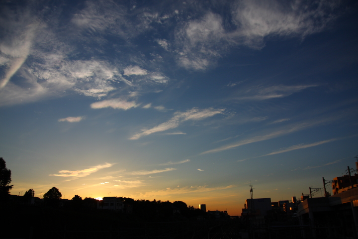 f0164989_20394336.jpg