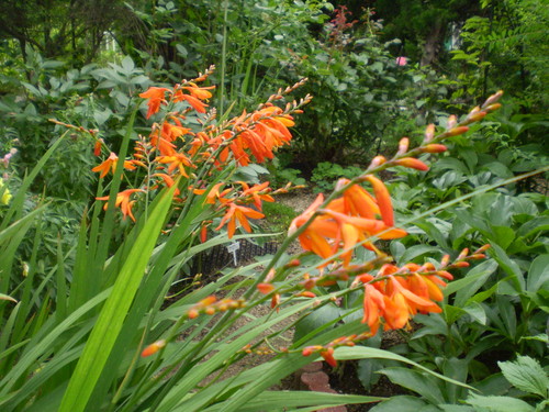 a0135990_2142316.jpg
