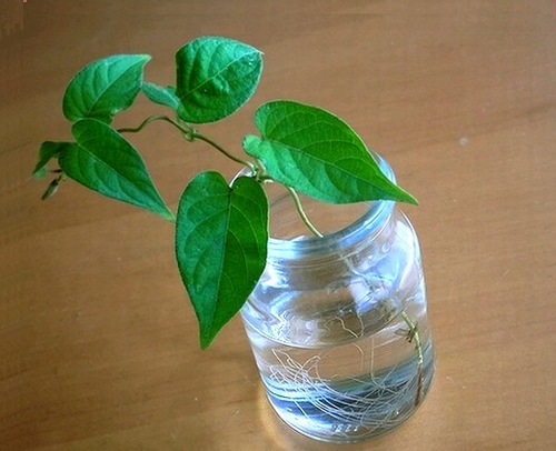 e0143690_12182626.jpg