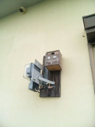 d0143192_1832179.jpg