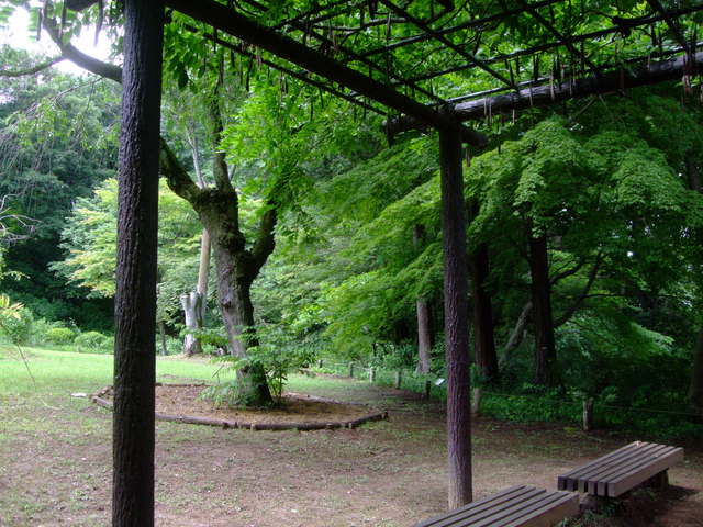 f0100593_19383837.jpg