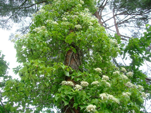 f0100593_19394680.jpg