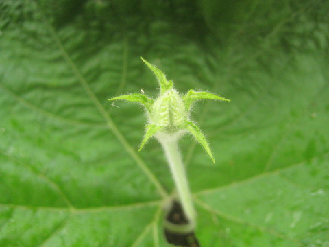 f0201297_8521993.jpg