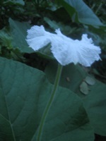 f0201297_8525919.jpg