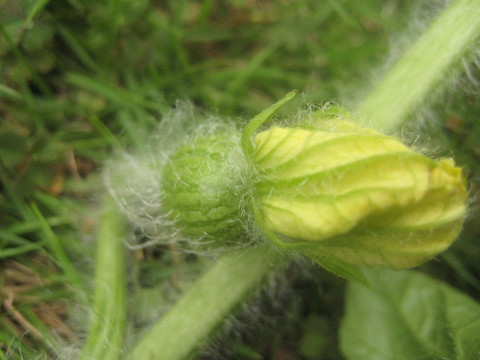 f0201297_8592378.jpg