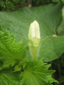 f0201297_9203226.jpg