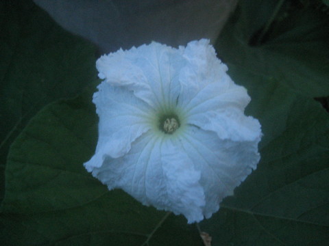 f0201297_9281941.jpg