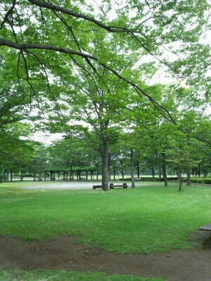 f0114900_14375766.jpg
