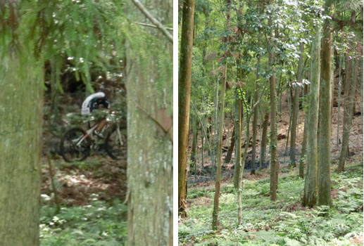 a0249004_2011243.jpg