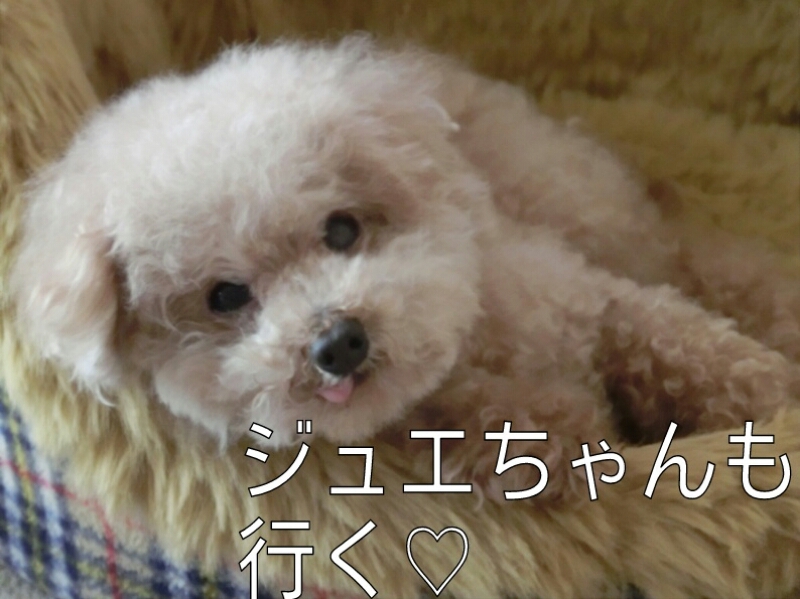 c0110906_21385457.jpg
