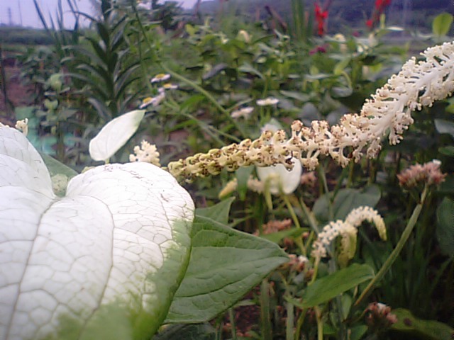 f0231709_17402247.jpg