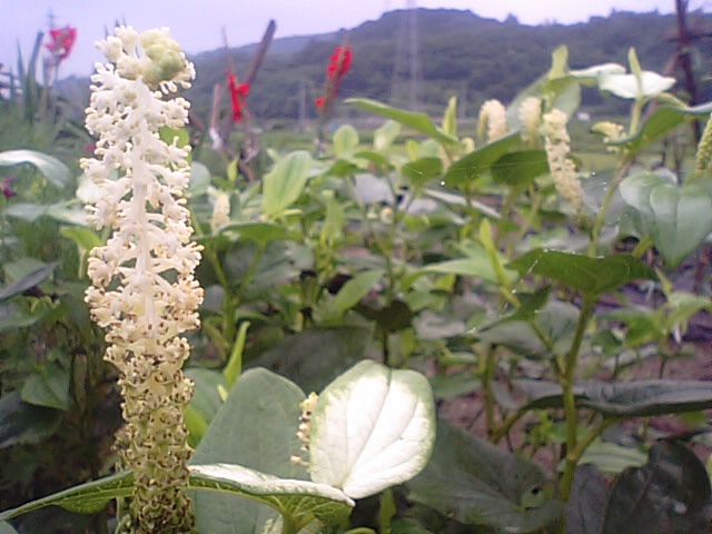 f0231709_174409.jpg