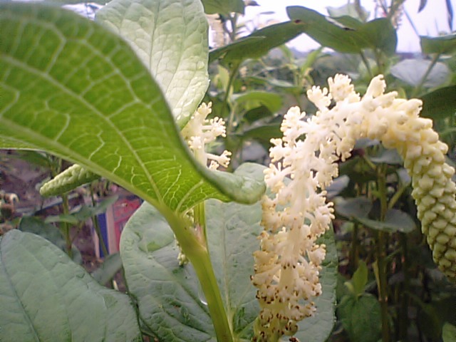 f0231709_17442546.jpg