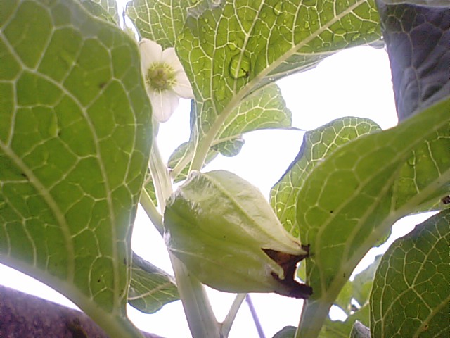 f0231709_20541041.jpg
