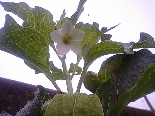 f0231709_20554735.jpg