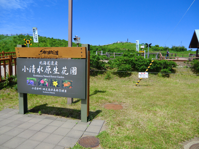 c0292312_2136395.jpg