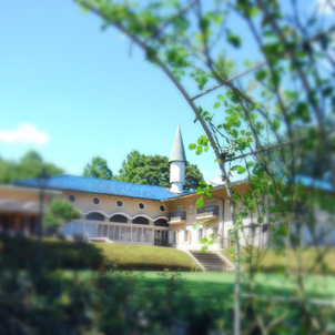d0113613_1148023.jpg