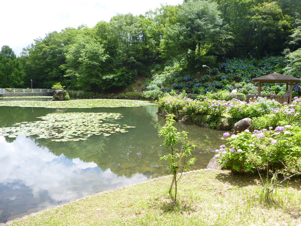 d0170615_9372324.jpg