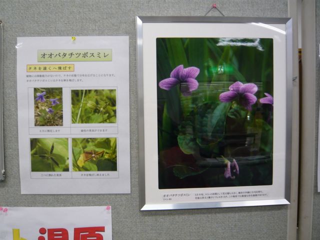 e0111220_1627398.jpg