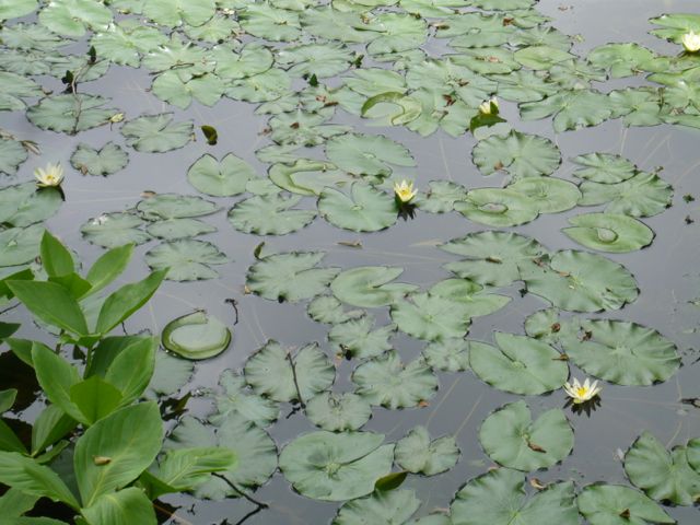 e0111220_16464698.jpg