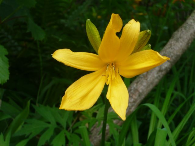 e0111220_16474129.jpg